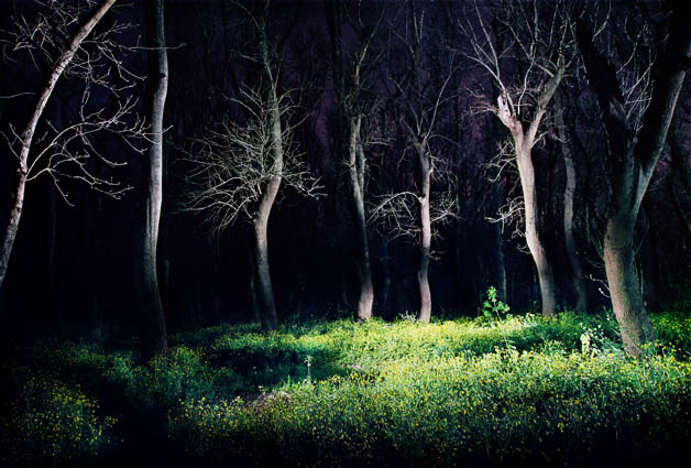 Жили-поживали