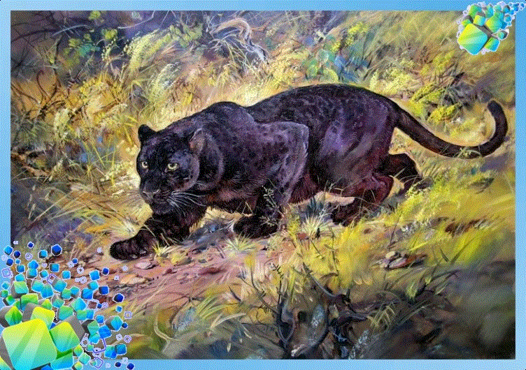 Wild cat