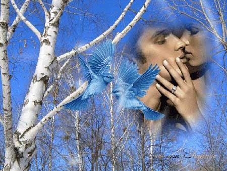 Любовь летит к нам из далёких снов