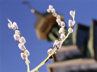 О, как подставить под удар... Дмитрий Мальков