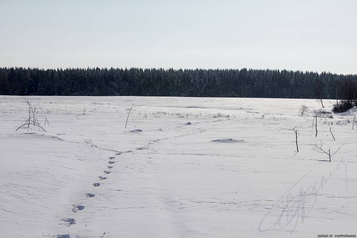 Путь к тебе