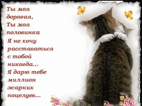 Я хочу подарить