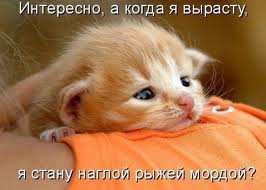 Мой папа - рыжий