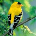 Быстрее зачерпни!