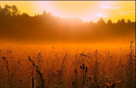 Рождение дня