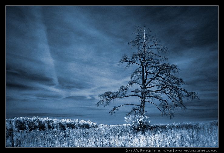 одиночество