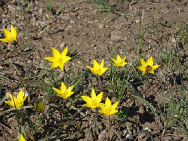 В ней тайна