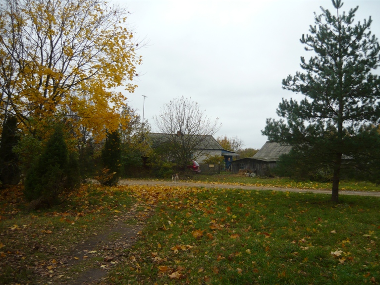 Петрополье моё