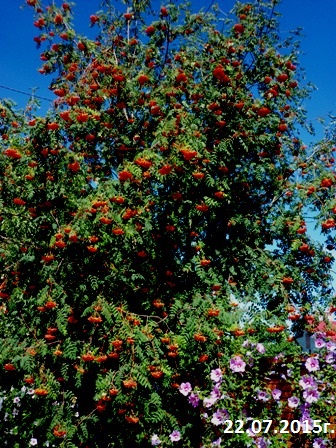 Земля у нас чудесная планета