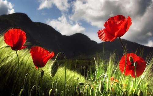 Мы были на пороге счастья...