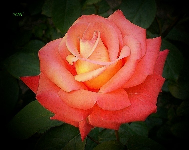 Я сегодня помолчу