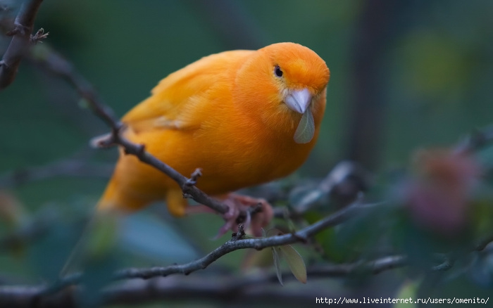 Весной забытый полустанок
