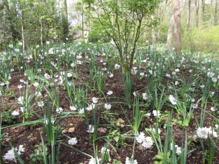 Мартовское солнце