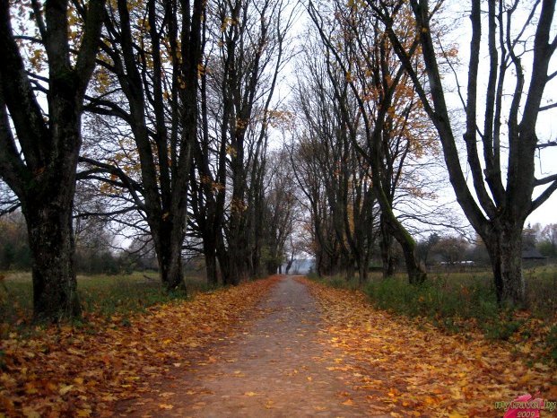 Осенняя мелодия