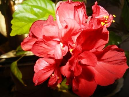 Дыши мой Друг!..