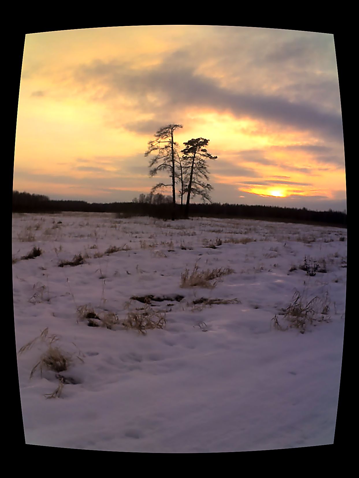 Охотничья любовь