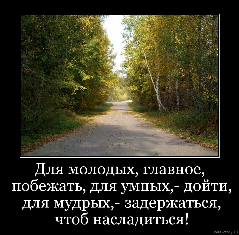 Афоризмы Про Дорогу