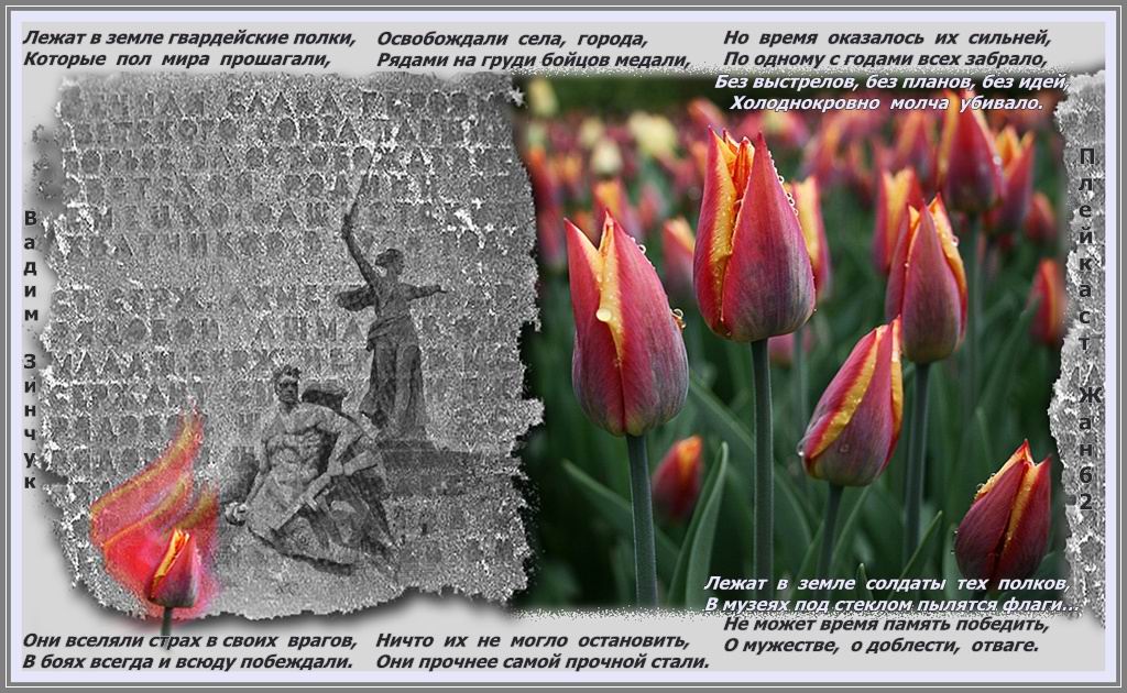 Над могилой в тихом парке автор. Что такое тюльпан на войне. Тюльпаны у вечного огня. Братские могилы в тюльпанах. Над могилой в тихом парке расцвели тюльпаны ярко.