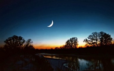https://stihi.ru/pics/2012/04/06/11221.jpg