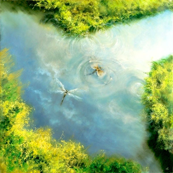 Стрекоза... Сена...