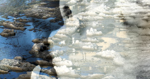 Разменной монетой