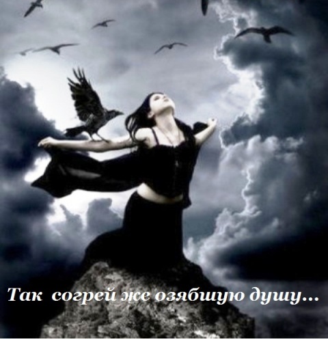 Так согрей же, озябшую душу