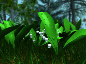 Жемчужина весны