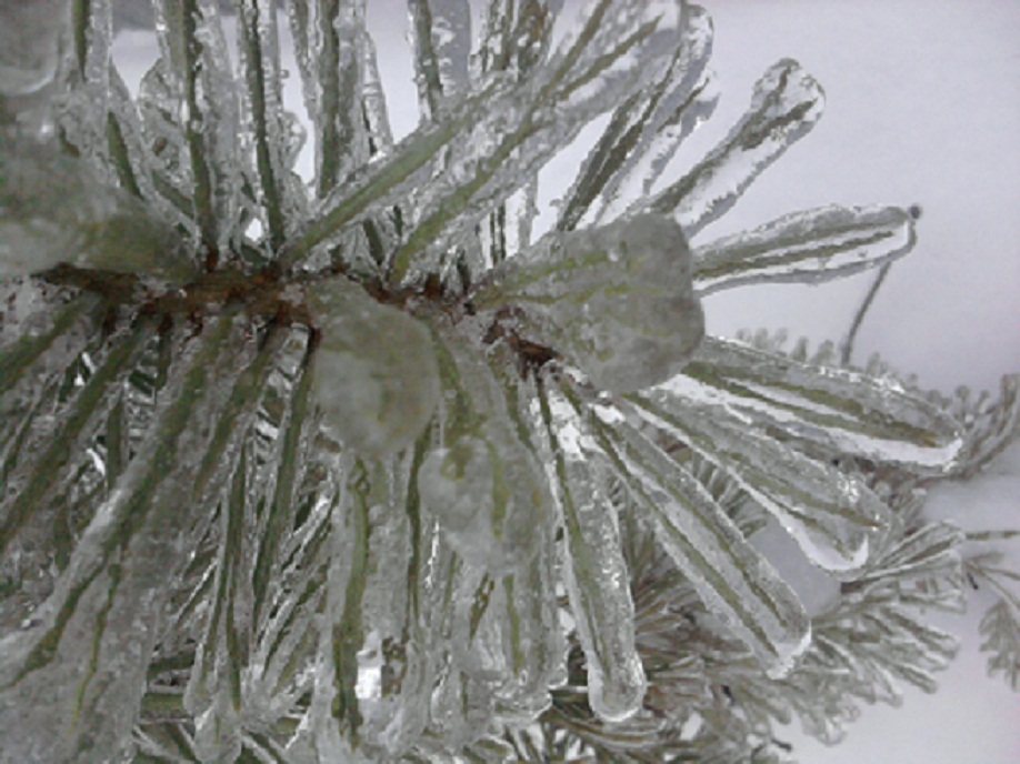 Заклички - Весне... присоединяйтесь...