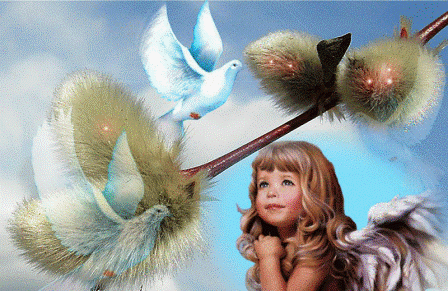 Распустила верба почки