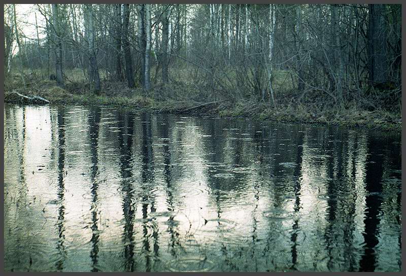 Царит безмолвие...