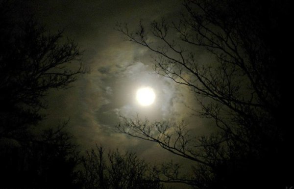 Во круге первом