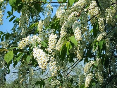 Вспомни о себе, любимой новые фото Вспомни о себе, любимой новые фото