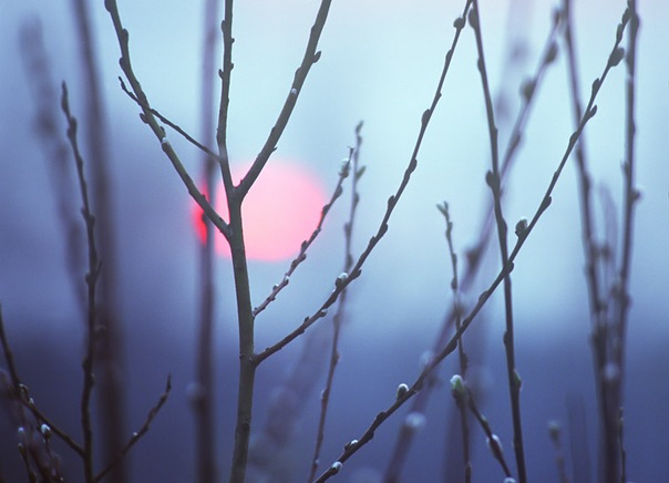 Былью-небылью...