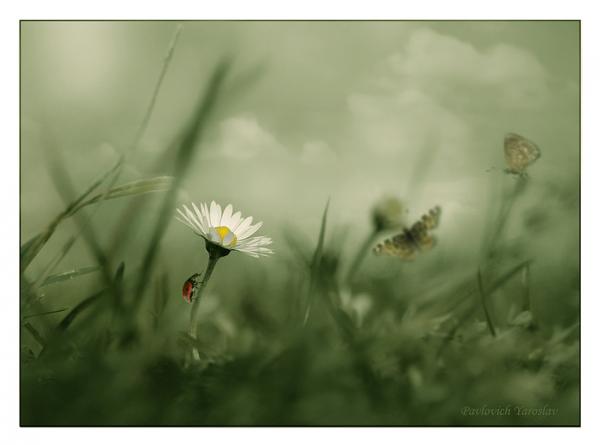 Истина рядом