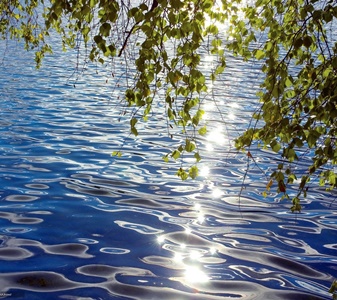 Живая вода