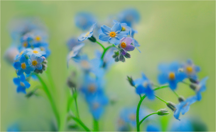 Просто всё...