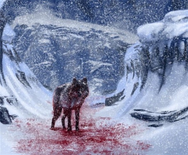 Человек человеку - волк