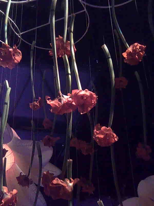 Сонет цветка