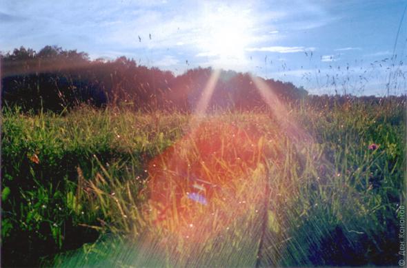 Но солнце упрямо дарит тепло