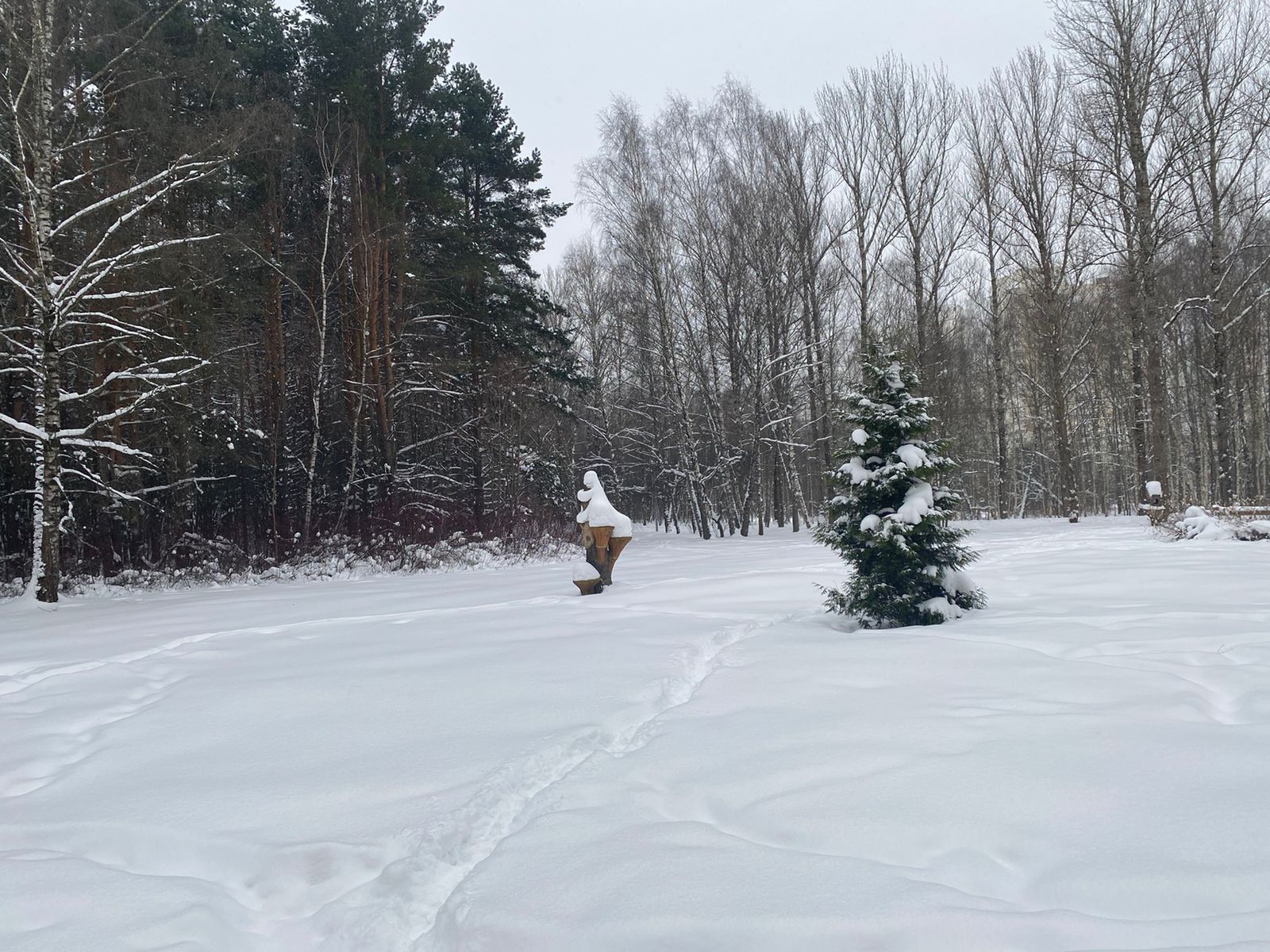 Вкусный хруст шагов по снегу