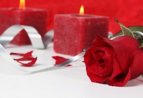 Любовь пришла весной