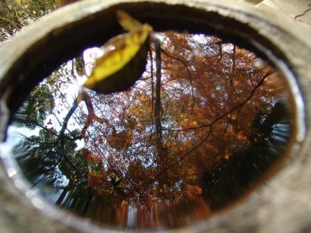 Загляни вглубь меня