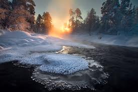 Неровной щёточкою сосны