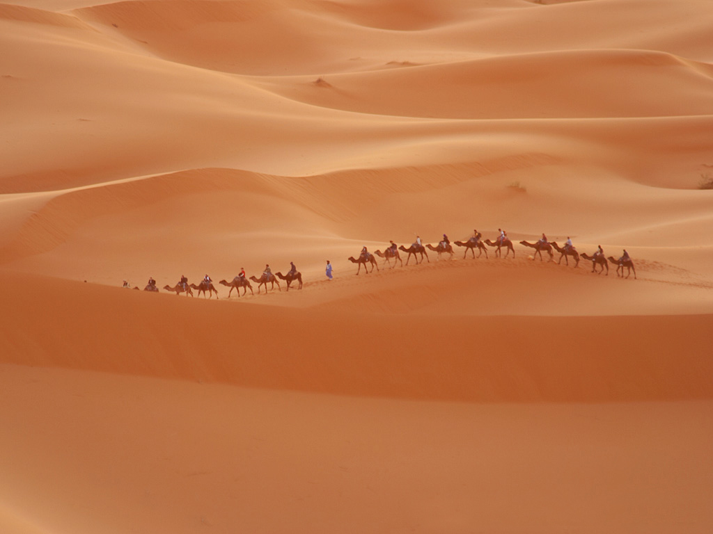 Караван 18. Пустыня Барханы Оазис. Пустыня караванщики Оазис. Дюны Барханы Караван. Картина пустыня.