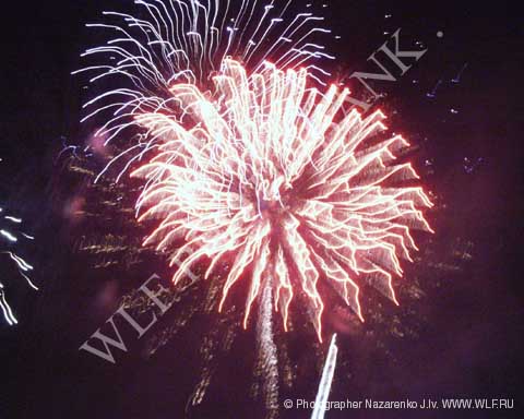 Девочки - красавицы