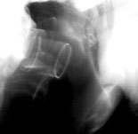 Мгновенный снимок неба