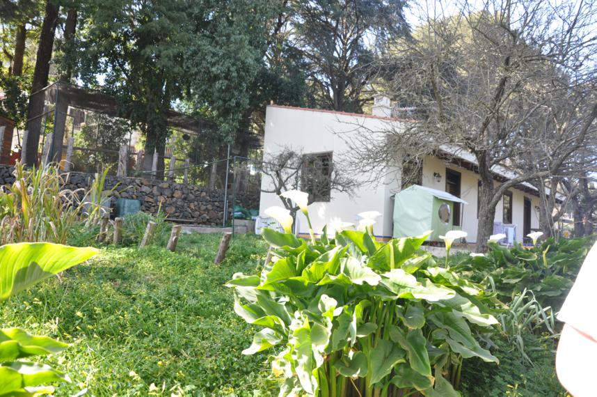 Никто меня больше не полюбит... вечную смеющуюся в