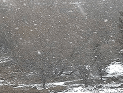 Зима все злится за окном