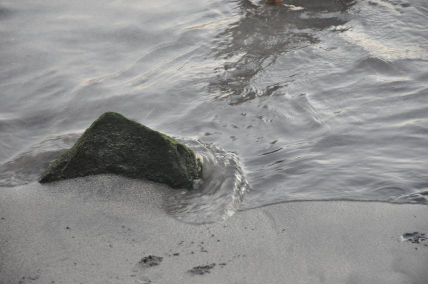 разрывается на части...