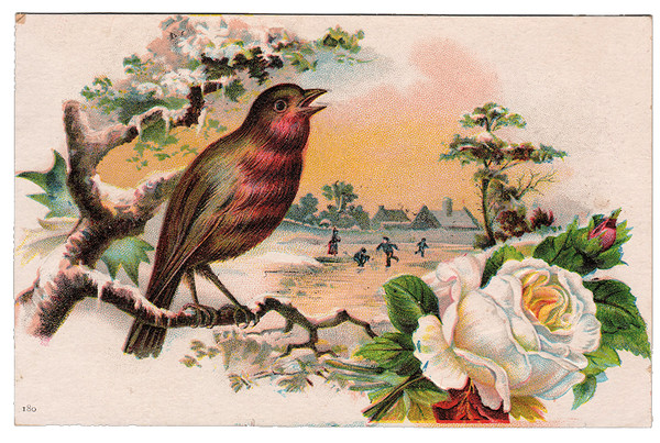 Басня Роза и Соловей Цикл 33 жизни (Людмила Тельминова -Пензий) / Стихи.ру